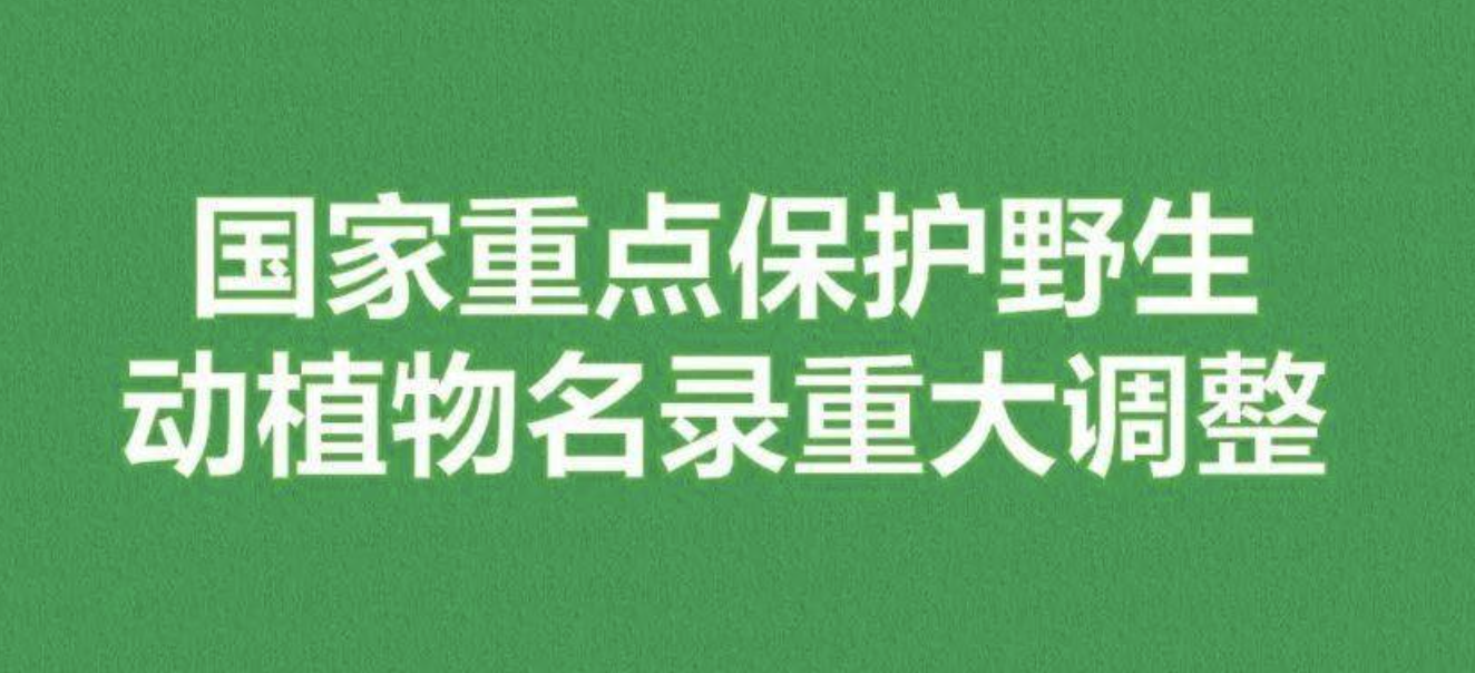重磅！新版國(guó)家重點(diǎn)保護(hù)野生植物名錄公布，58種/屬列入一級(jí)保護(hù)，值得收藏