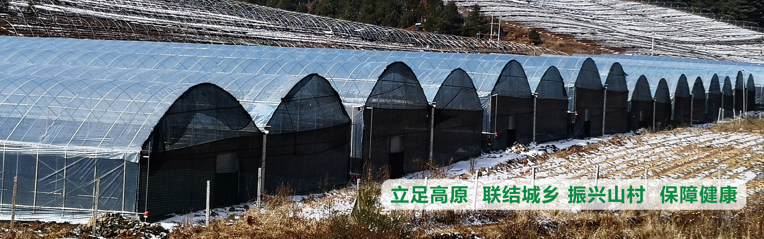 立足高原、聯(lián)結(jié)城鄉(xiāng)、振興山村、保障健康